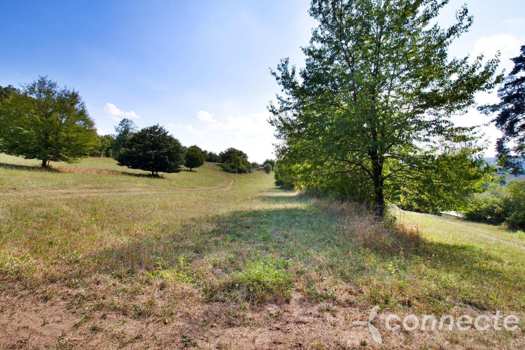 Louka u Sázavy na prodej (8).jpg