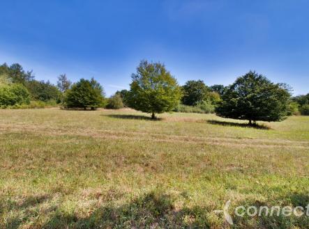 Prodej pozemku, trvalý travní porost, 14 836 m²