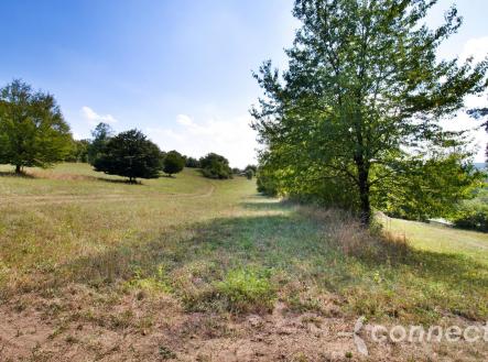 Prodej pozemku, trvalý travní porost, 14 836 m²