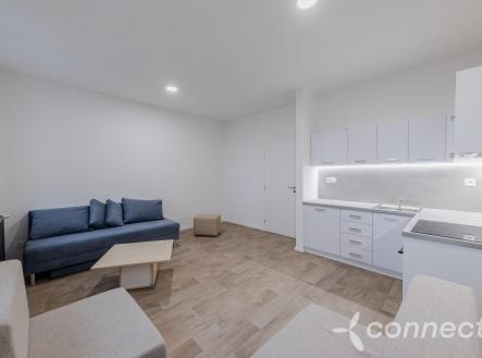 Pronájem bytu, 1+kk, 30 m²