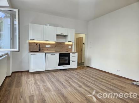Pronájem bytu, 1+kk, 31 m²