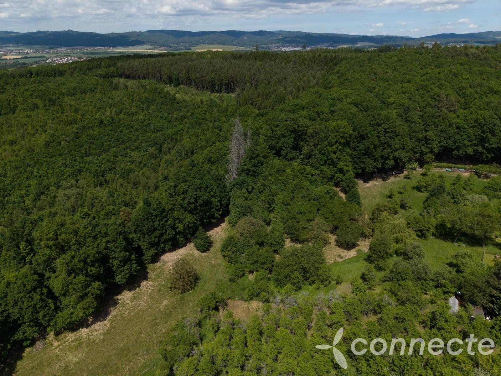 DJI_20260528134255_0022_D.jpg