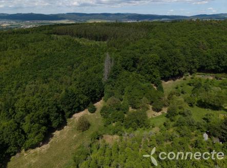 Prodej pozemku, trvalý travní porost, 3 131 m²