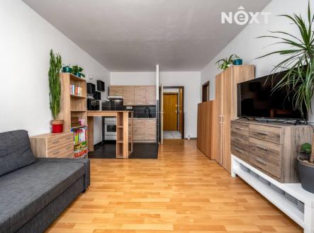 Prodej bytu, 1+kk, 33 m²