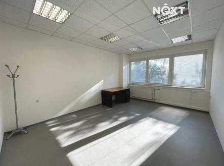Pronájem kanceláře, 20 m²