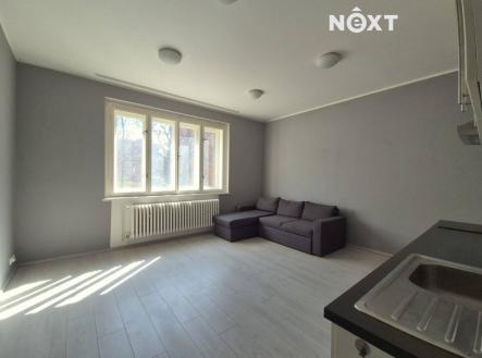 Pronájem bytu, 2+kk, 48 m²