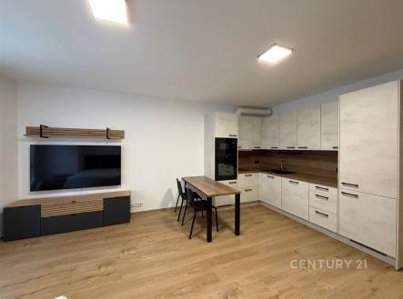 Pronájem bytu, 1+kk, 40 m²