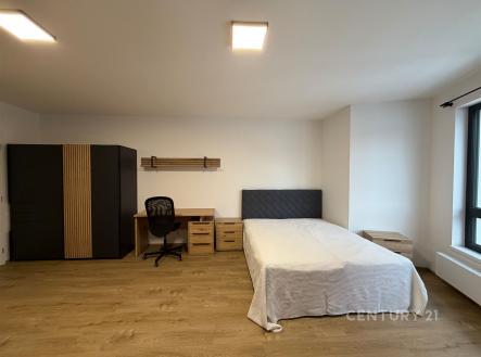 Pronájem bytu, 1+kk, 40 m²