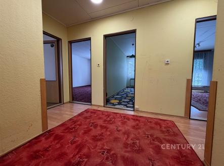 Prodej domu/vily, 300 m²