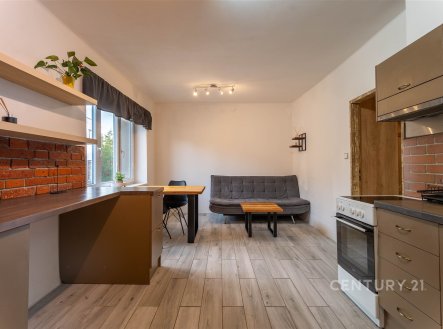 Prodej bytu, 2+kk, 48 m²