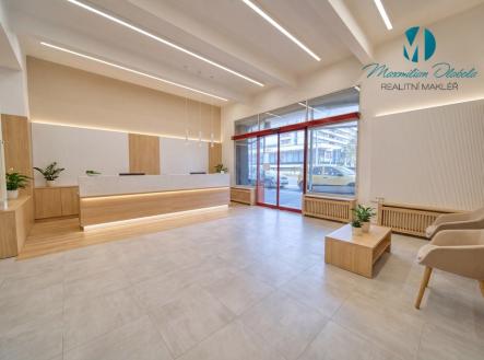 Pronájem obchodní prostor, 250 m²