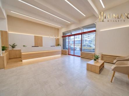 Pronájem obchodní prostory, 250 m²