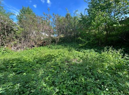 Prodej pozemku pro bydlení, 1 644 m²