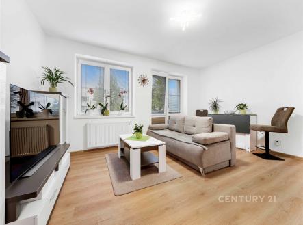 Pronájem bytu, 1+kk, 26 m²