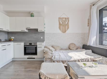 Pronájem bytu, 1+kk, 3 467 m²