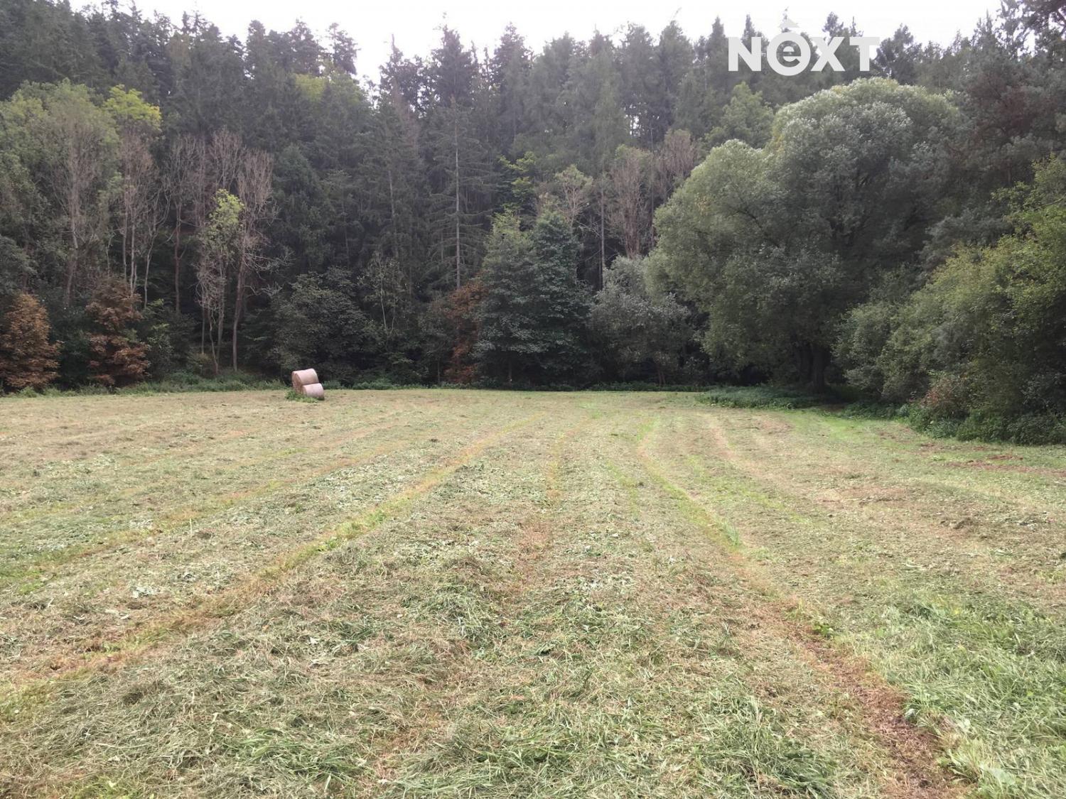 Prodej pozemek Louky, 6060㎡|Středočeský kraj, Kladno, Družec, 1, 27362