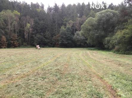 Prodej - pozemek, trvalý travní porost, 6 060 m²