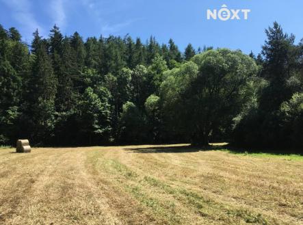 Prodej pozemku, trvalý travní porost, 6 060 m²