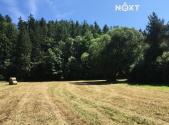 Prodej pozemku, trvalý travní porost, 6 060 m²