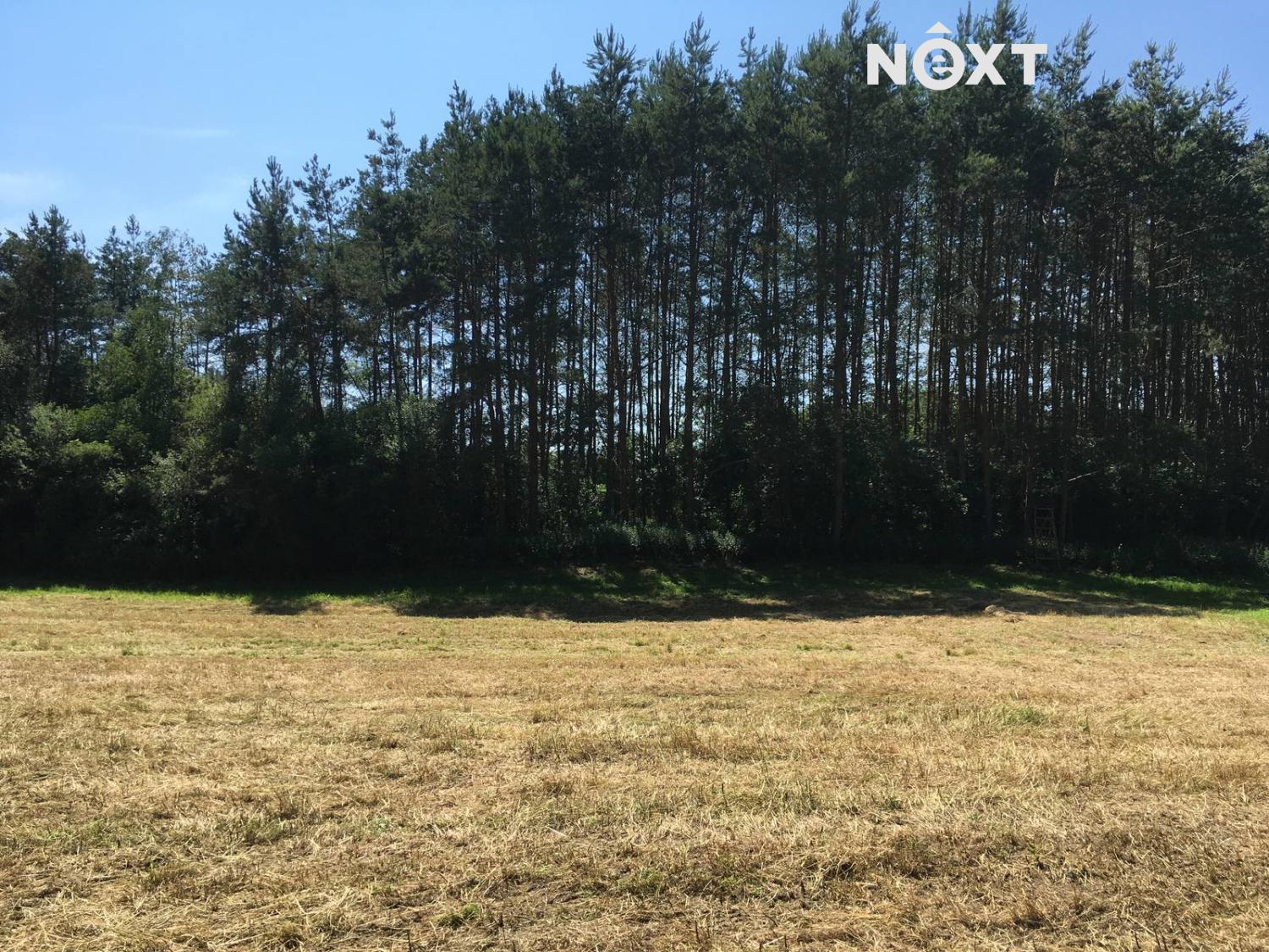 Prodej pozemek Louky, 6060㎡