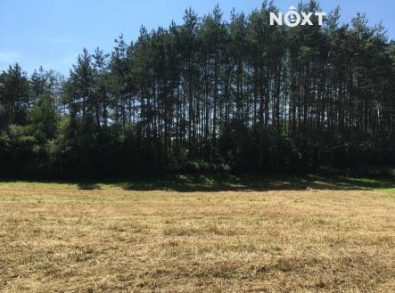 Prodej pozemku, trvalý travní porost, 6 060 m²