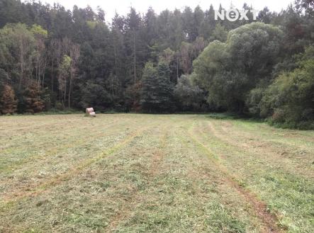 Prodej pozemku, trvalý travní porost, 6 060 m²