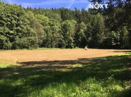 Prodej pozemku, trvalý travní porost, 6 060 m²