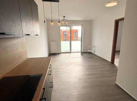 Pronájem bytu, 2+kk, 57 m²