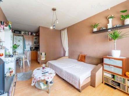Prodej bytu, 2+kk, 42 m²