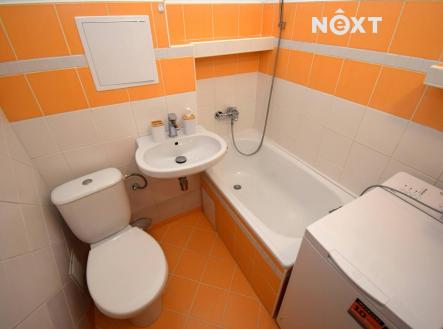 Pronájem bytu, 1+1, 28 m²