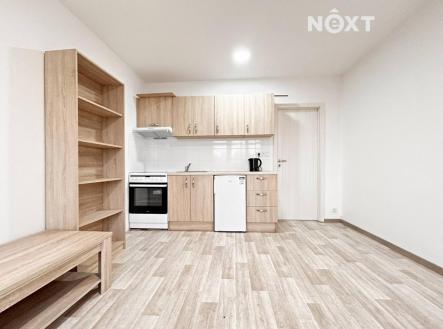 Pronájem bytu, 1+kk, 20 m²