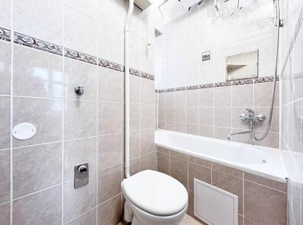 Pronájem bytu, 2+1, 47 m²