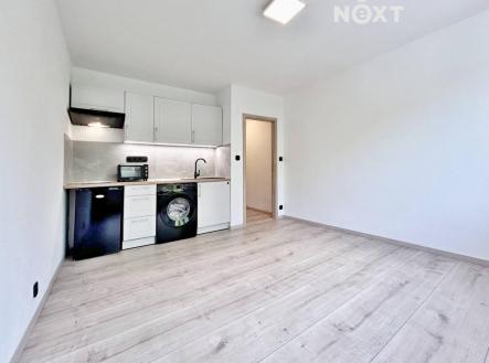 Pronájem bytu, 1+kk, 20 m²