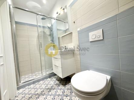 Pronájem bytu, 1+kk, 21 m²