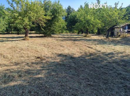 Prodej pozemku, zahrada, 6 002 m²