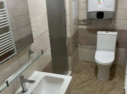 Pronájem bytu, 1+1, 25 m²