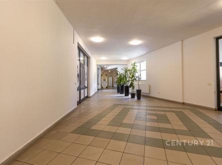 Pronájem obchodní prostor, 51 m²