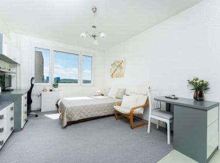 Pronájem bytu, garsoniéra, 24 m²