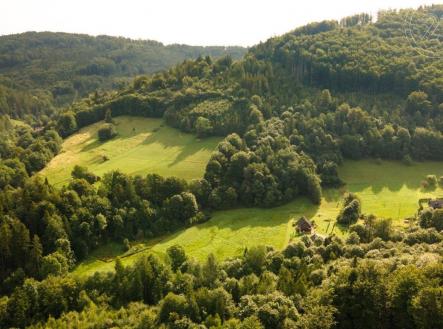 Prodej - pozemek, les, 21 679 m²