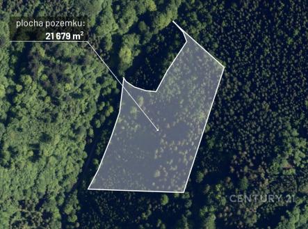 Prodej pozemku, les, 21 679 m²