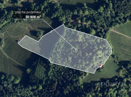 Prodej pozemku, les, 30 906 m²