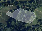 Prodej pozemku, les, 30 906 m²