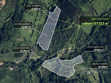 Prodej pozemku, les, 30 906 m²