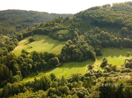 Prodej pozemku, les, 30 906 m²