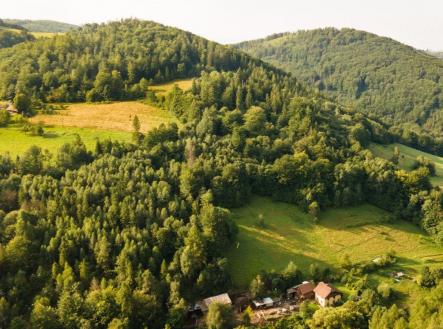 Prodej - pozemek, les, 20 558 m²