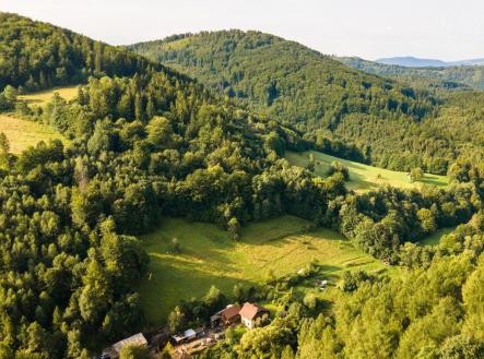 Prodej - pozemek, les, 20 558 m²