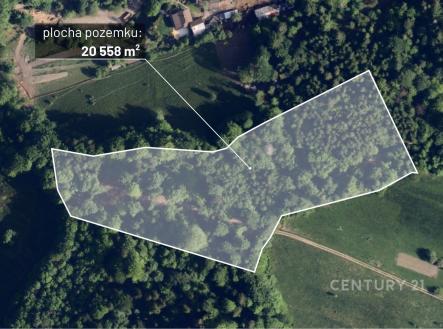 Prodej pozemku, les, 20 558 m²