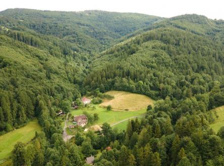 Prodej - pozemek, les, 20 397 m²