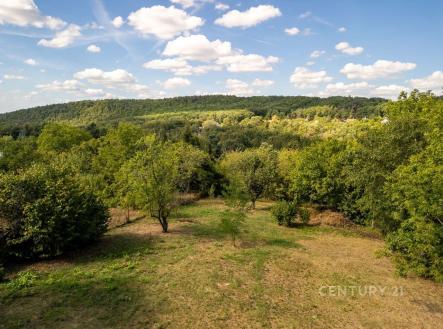 Prodej pozemku pro bydlení, 1 917 m² obrázek