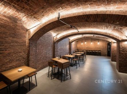 Prodej obchodní prostor, 113 m²